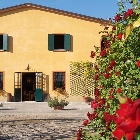 Agriturismo Le Colombaie Busseto Εξωτερικό φωτογραφία