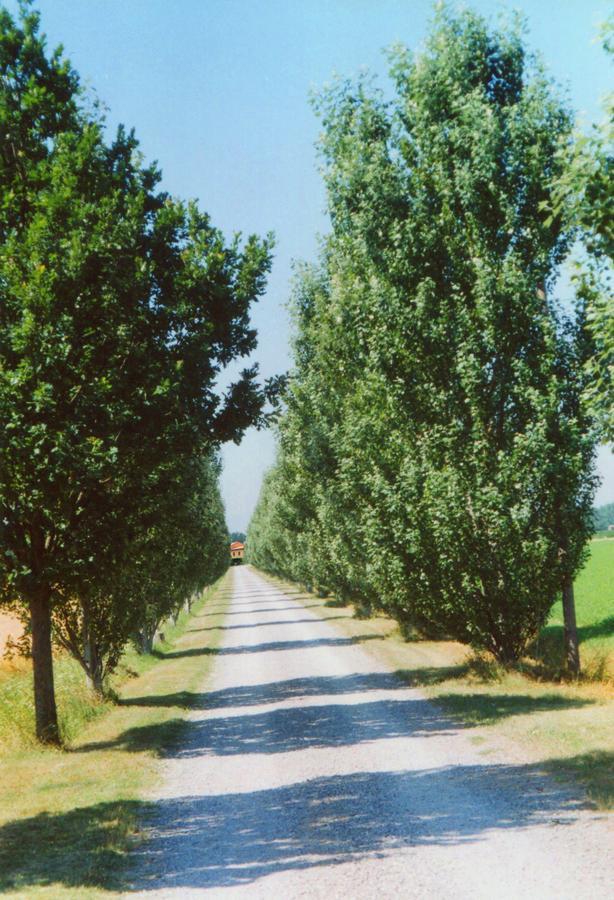 Agriturismo Le Colombaie Busseto Εξωτερικό φωτογραφία